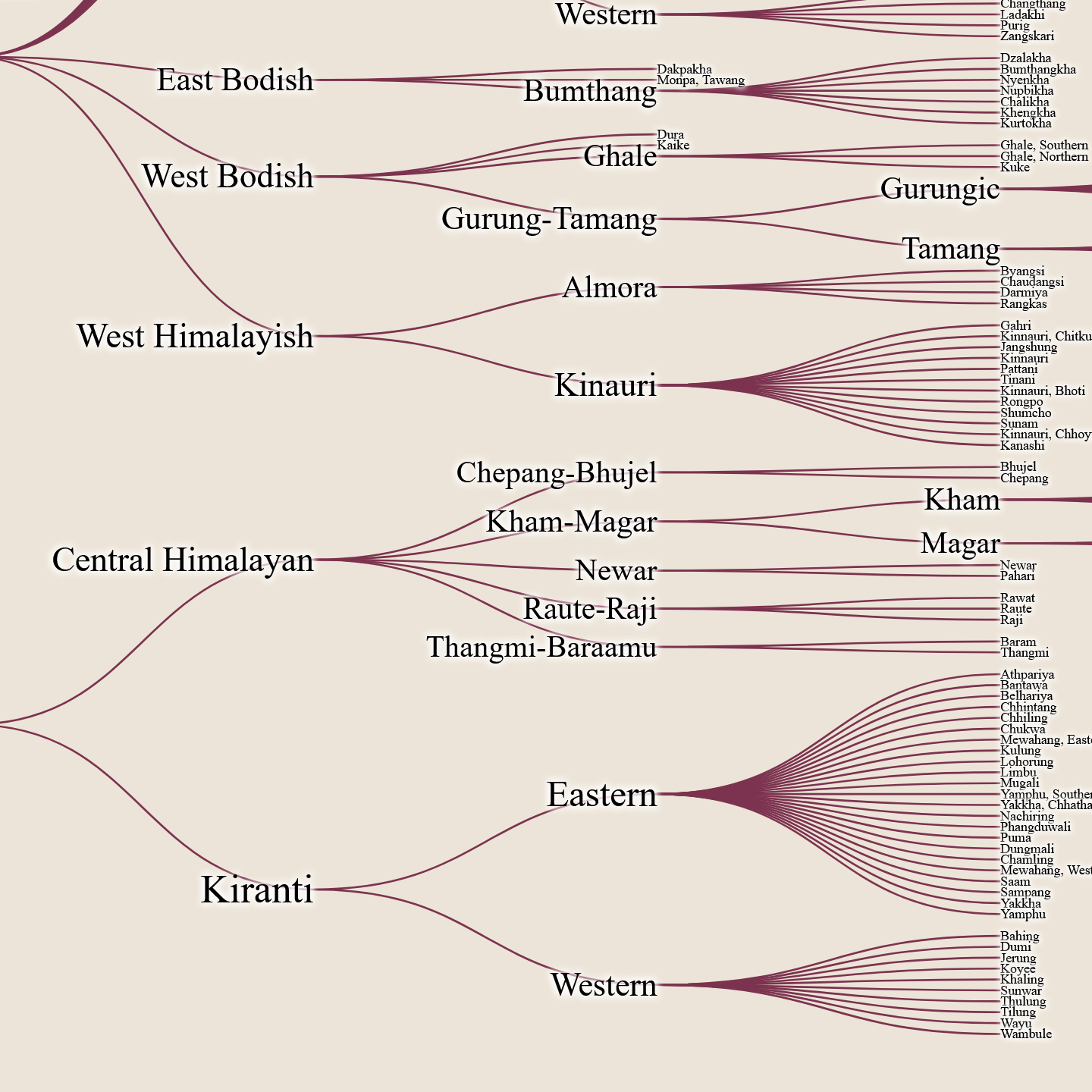 A screenshot of my Sino-Tibetan language group visualization. October 2024.